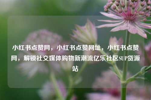 小红书点赞网，小红书点赞网址	，小红书点赞网，解锁社交媒体购物新潮流亿乐社区SUP货源站  第1张