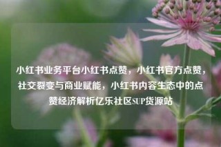 小红书业务平台小红书点赞，小红书官方点赞，社交裂变与商业赋能，小红书内容生态中的点赞经济解析亿乐社区SUP货源站