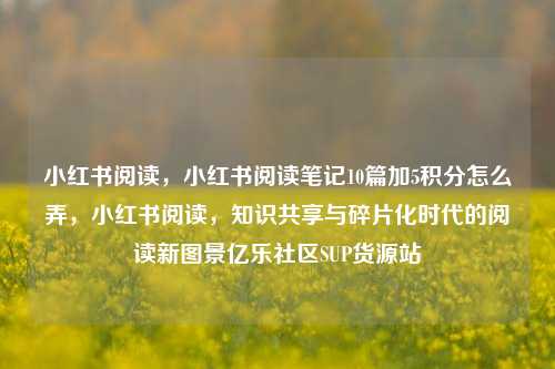 小红书阅读	，小红书阅读笔记10篇加5积分怎么弄，小红书阅读，知识共享与碎片化时代的阅读新图景亿乐社区SUP货源站  第1张